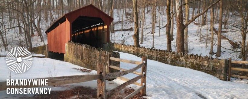 Laurels Preserve. Photo by Chuck Bowers.