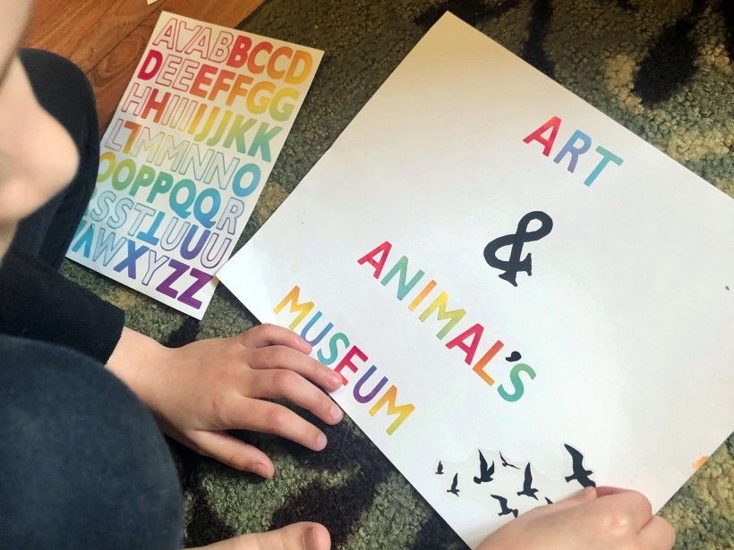 Curating a Collection Make Your Own Museum at Home Brandywine