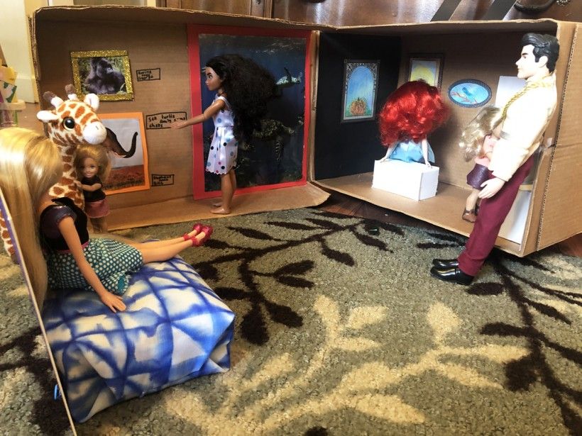 Curating a Collection Make Your Own Museum at Home Brandywine