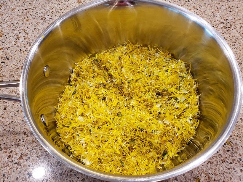 Dandelion petals in a pot of water