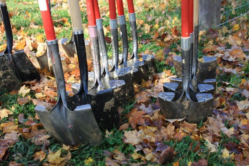 shovels