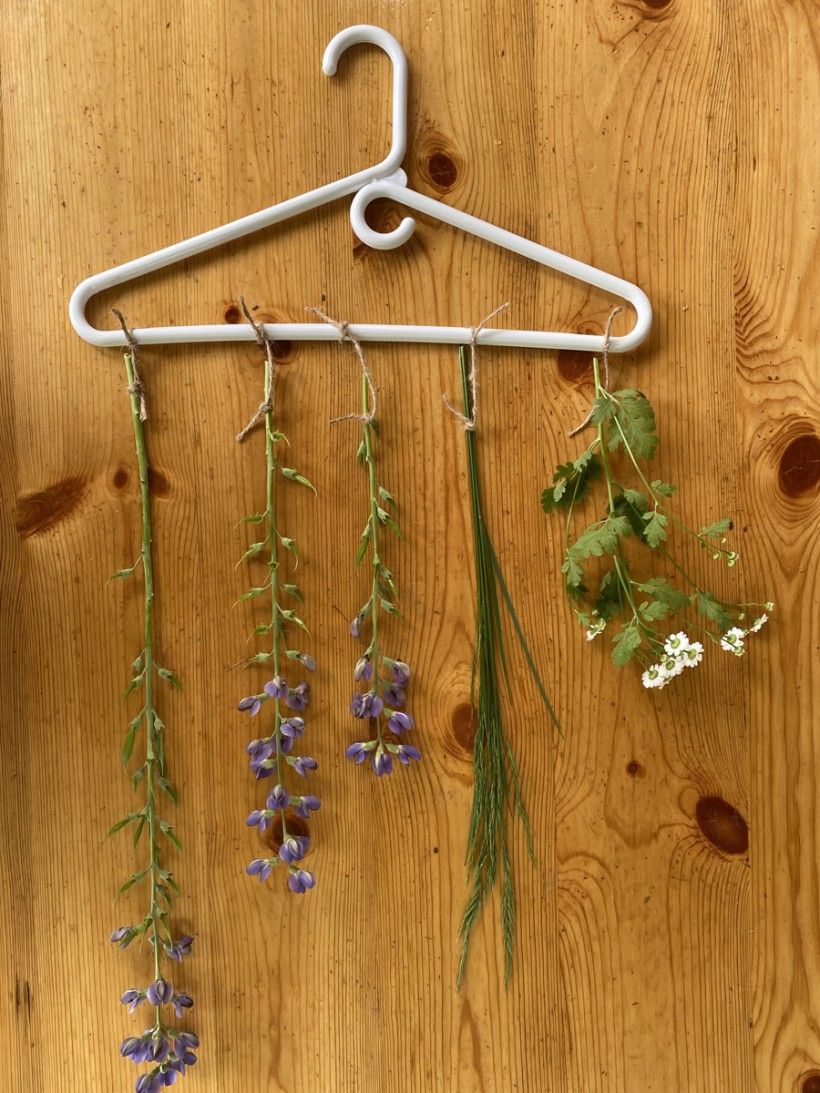 Dried Flower Wall Art
