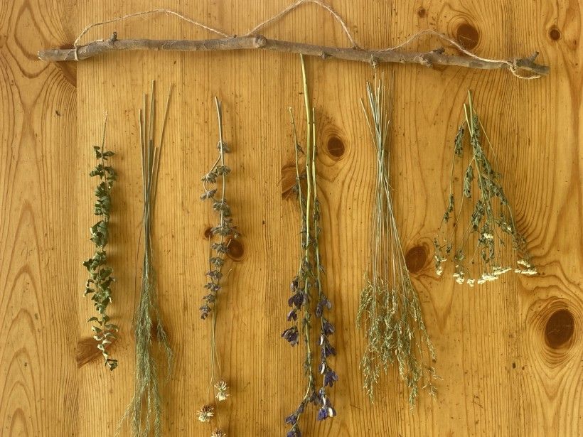 Dried Flower Wall Art