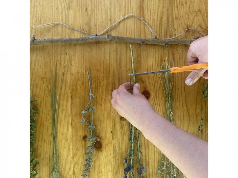 Dried Flower Wall Art