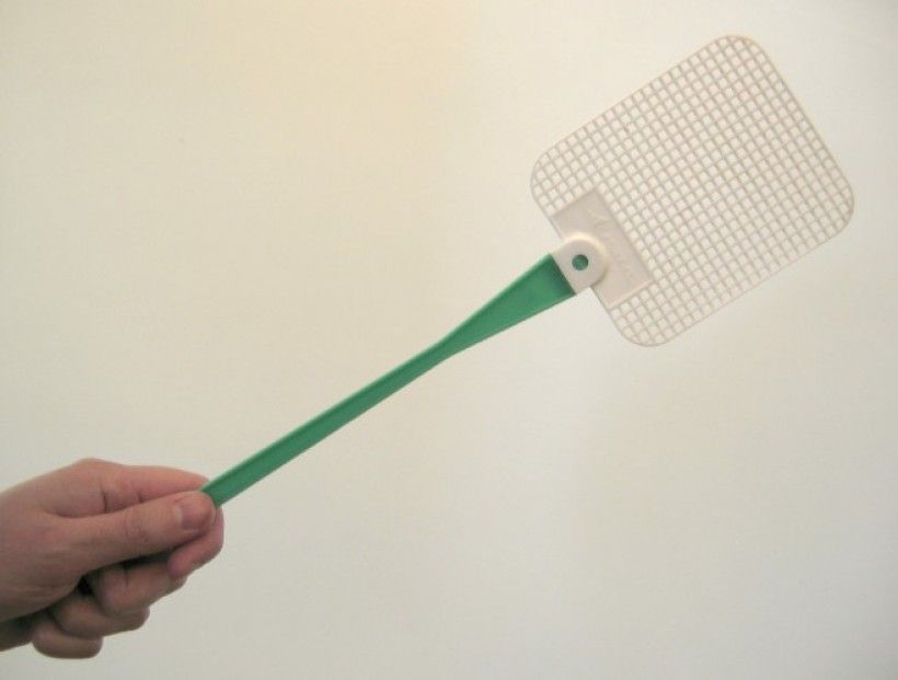 Via Wikimedia Commons Fly swatter