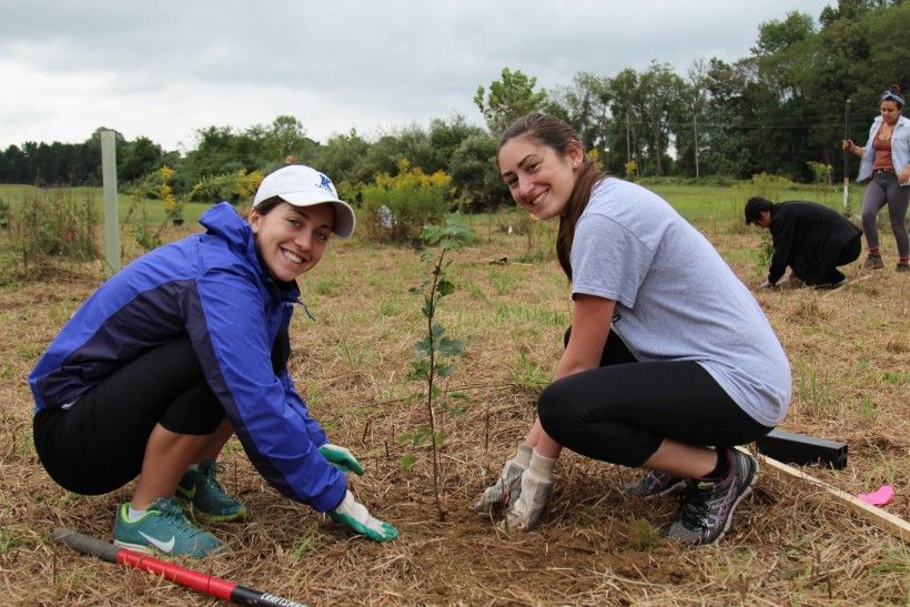 Franklin Township tree planting organized by the Brandywine Conservancy 
