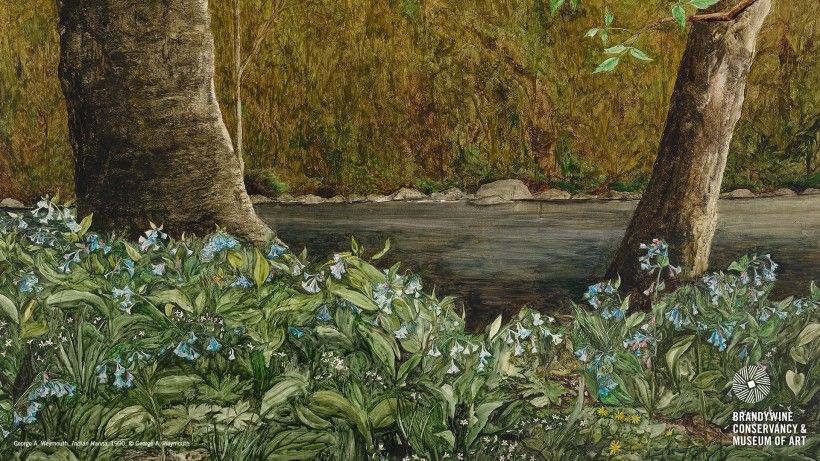 painting of bluebells