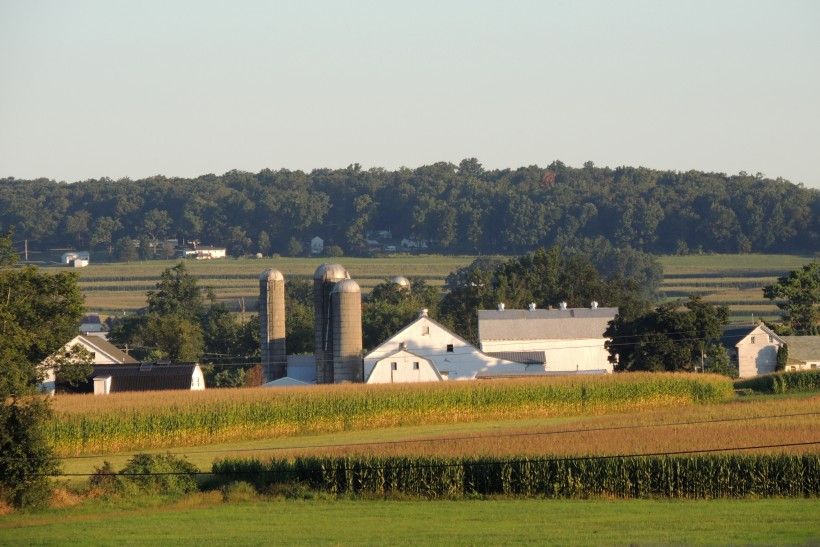 Honey Brook Farm