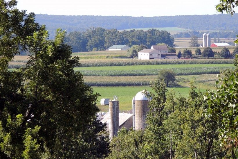 Honey Brook Farm