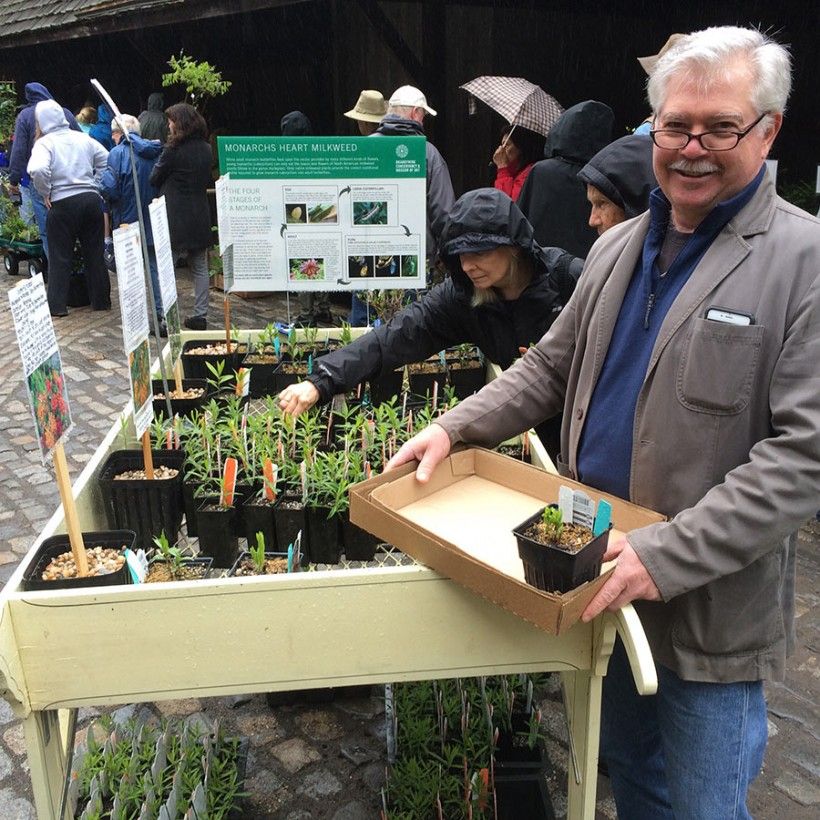 Volunteer at the plant sale