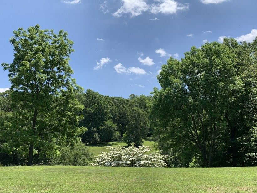 Brandywine Creek Greenway