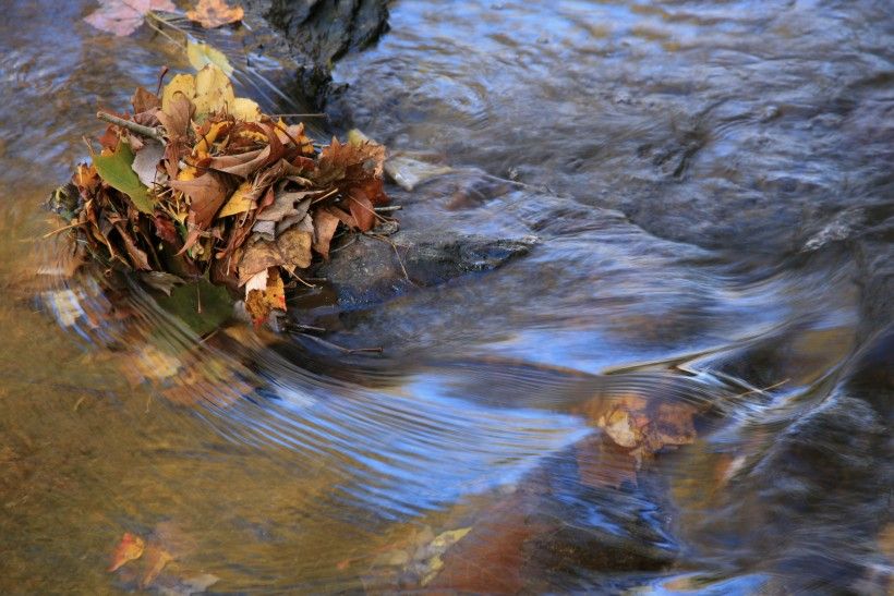 Protecting the Brandywine at its source