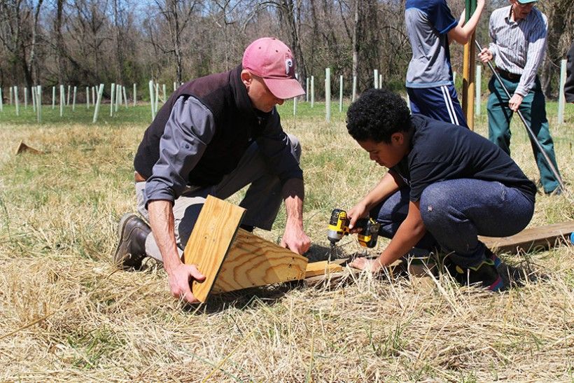 building bird box