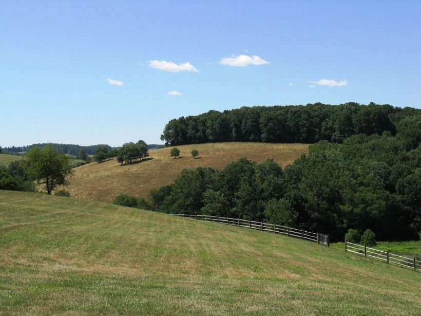 King Ranch landscape