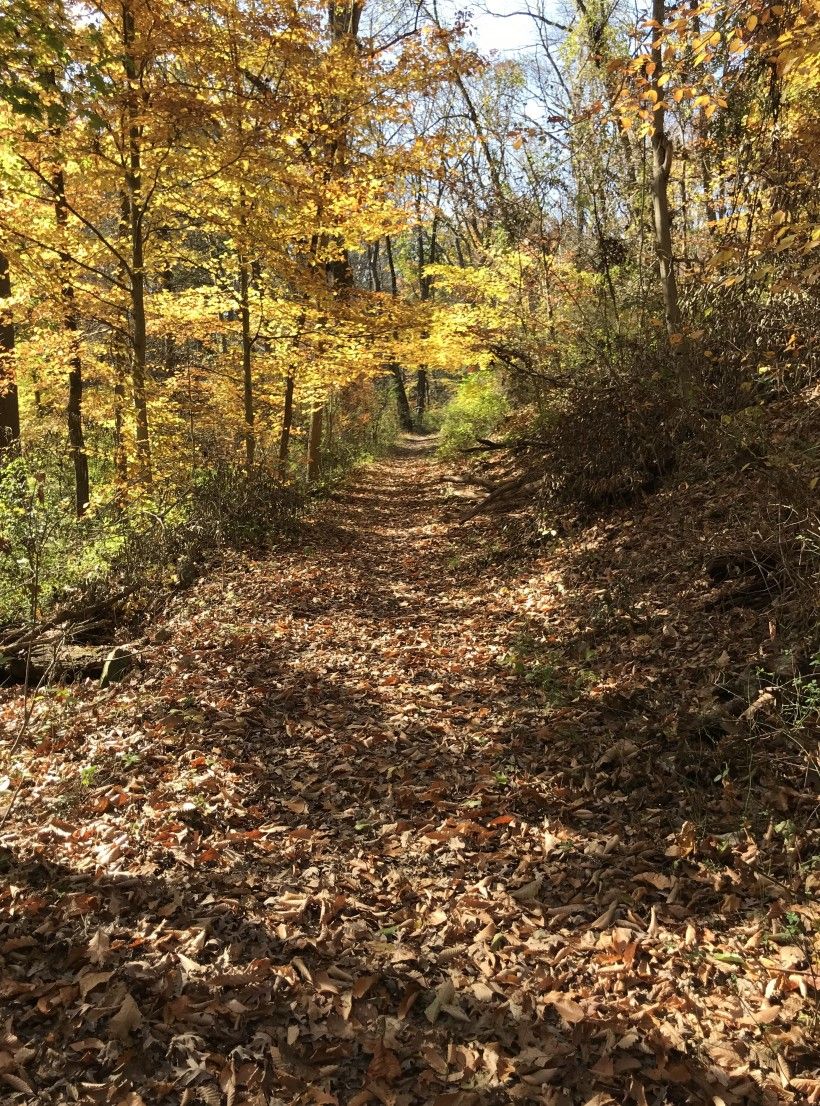 A trail running through the 40 acres of protected lands adjacent to the First State National Historic Park in Delaware