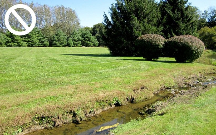 Stream mowed to the edge