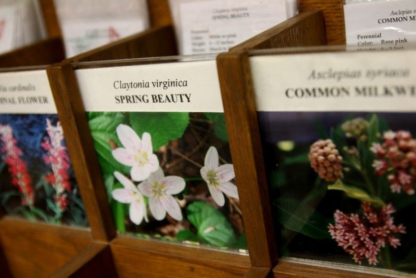 Native plant seeds from the Brandywine Conservancy sold in the Museum Shop