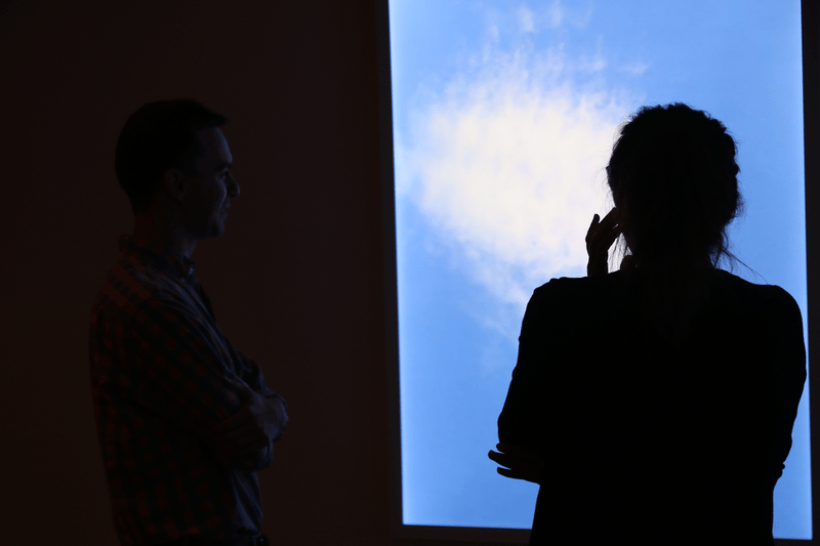 A woman viewing Wild is the Wind by T. J. Wilcox; On view at the Brandywine River Museum of Art as a part of the Natural Wonders exhibition