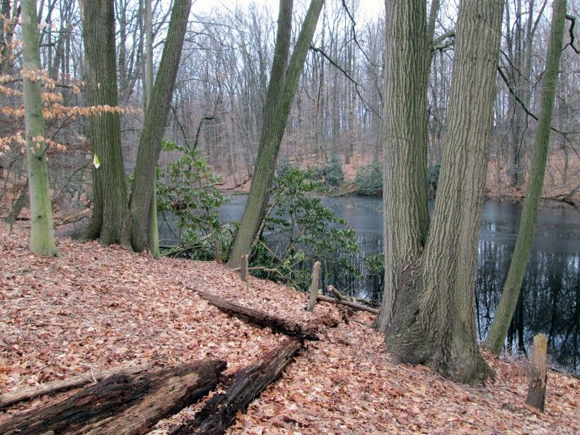 George and Betsy Turner's 20-acres woods