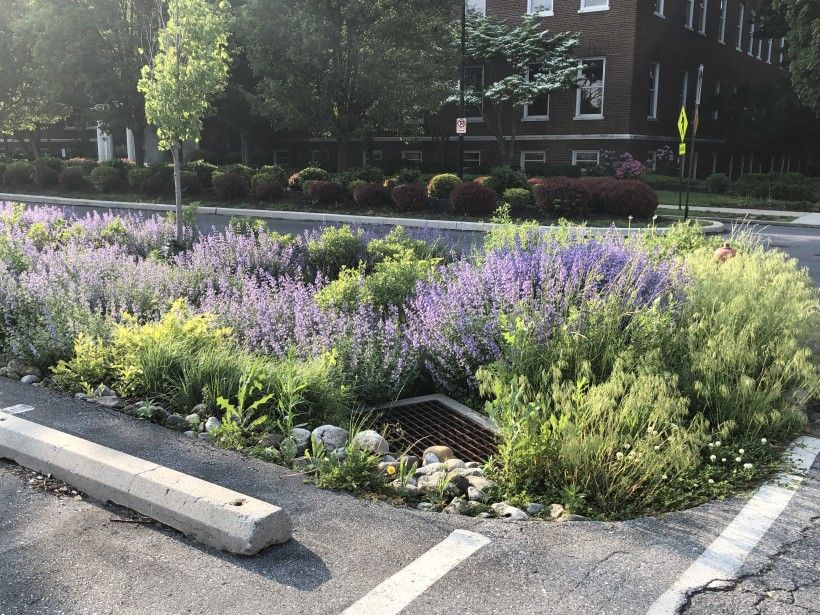 Bioswale in Lancaster City