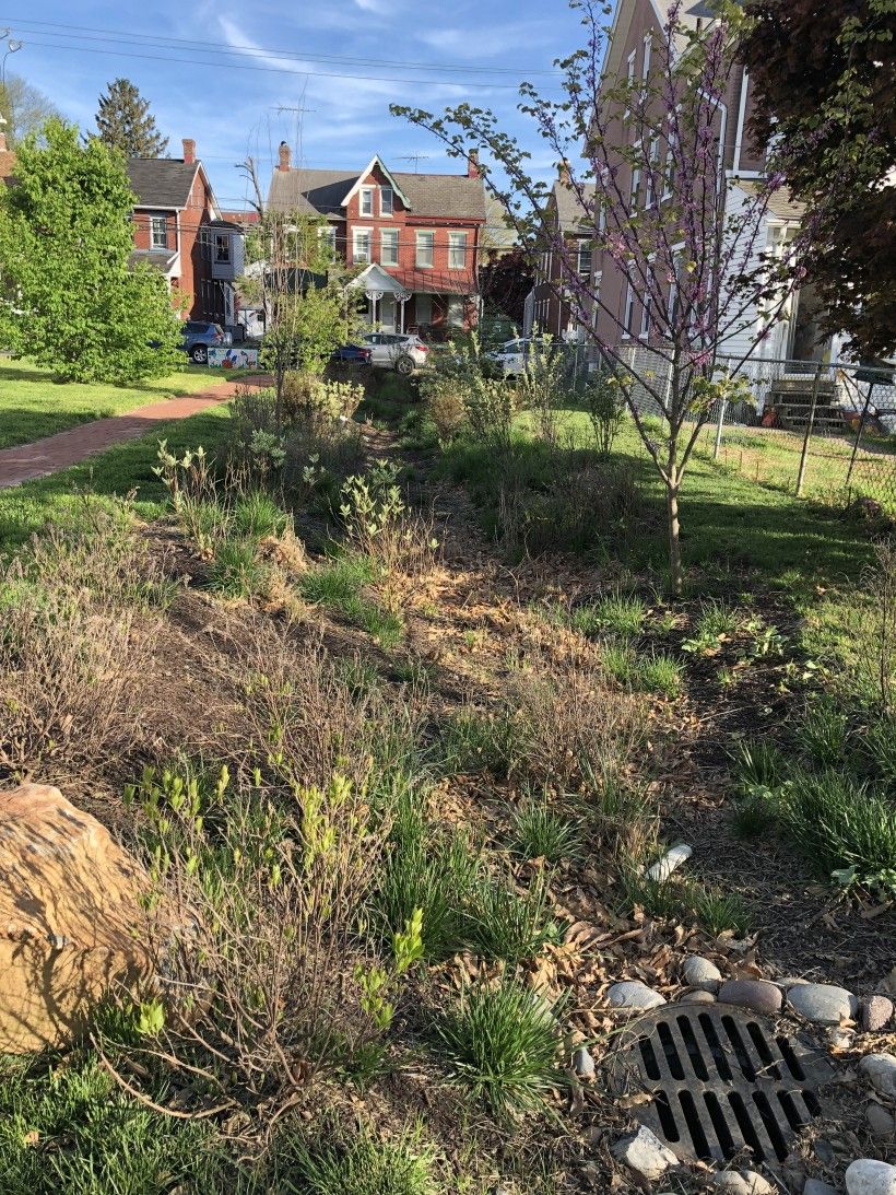 Bioswale in West Chester Borough at Veterans Memorial Park