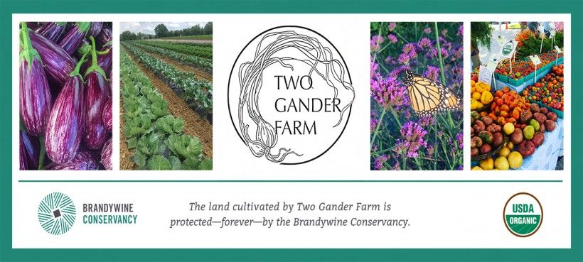 Banner with Two Gander Farm logo, pictures of produce, and text that reads: "The land cultivated by Two Gander Farm is protected—forever—by the Brandywine Conservancy"