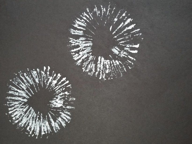 Dandelion and Firework painting