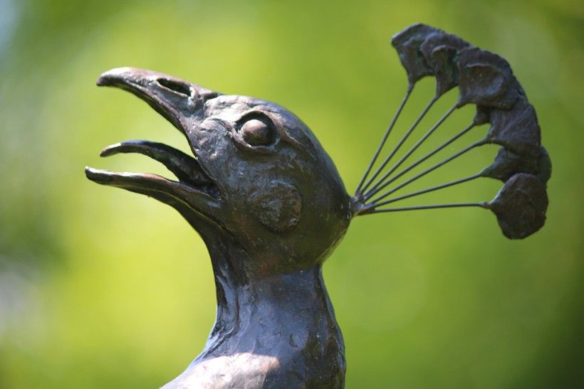 Close up of bronze peacock head, a detail from the Brandywine's new 'Tipping Point' sculpture of two life-size peacocks in mid-air battle