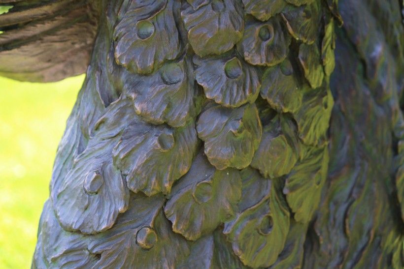 Close up of bronze peacock feathers, a detail from the Brandywine's new 'Tipping Point' sculpture of two life-size peacocks in mid-air battle
