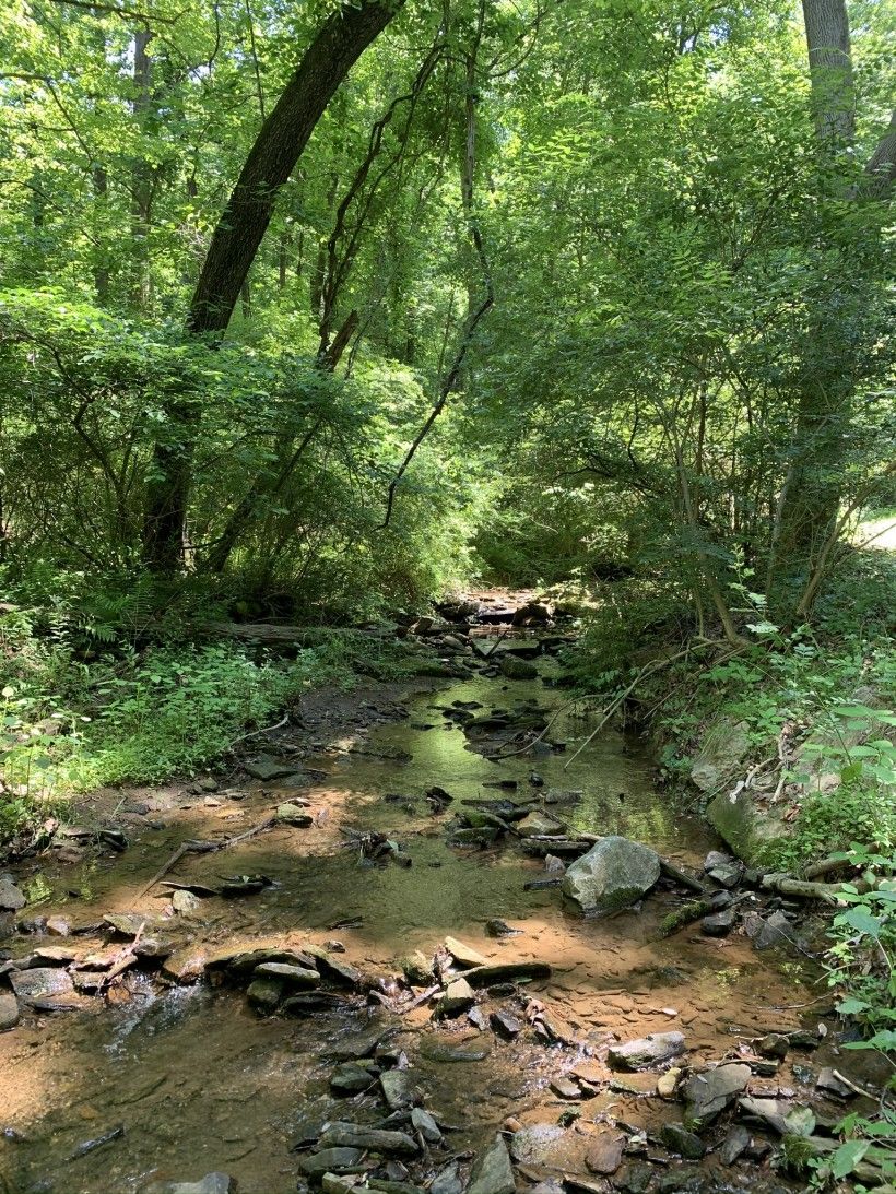 Tributary along Chandler Rd