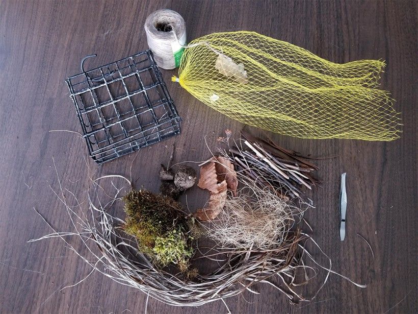 Diy bird shop nesting materials brandywine conservancy and museum of art