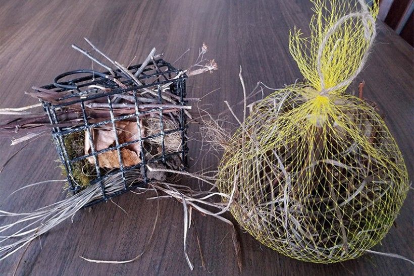 DIY Bird Shop: Nesting Materials