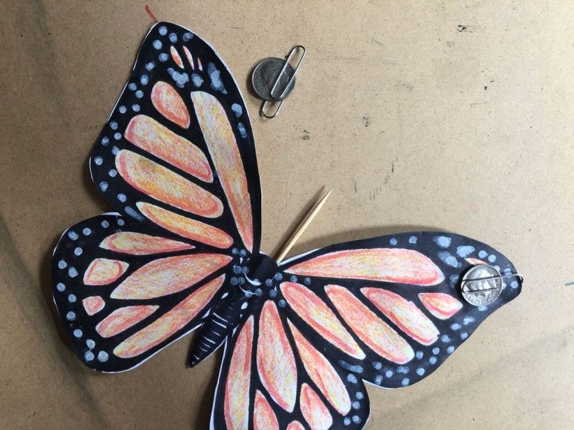 butterfly craft