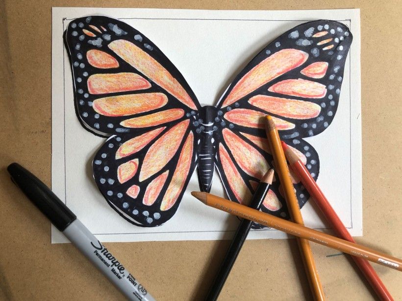 butterfly craft