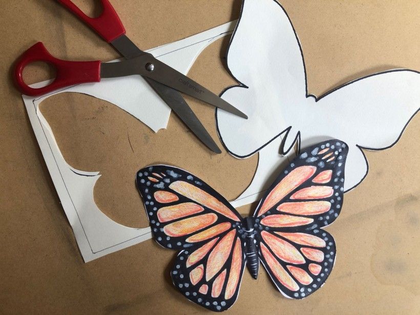 butterfly craft