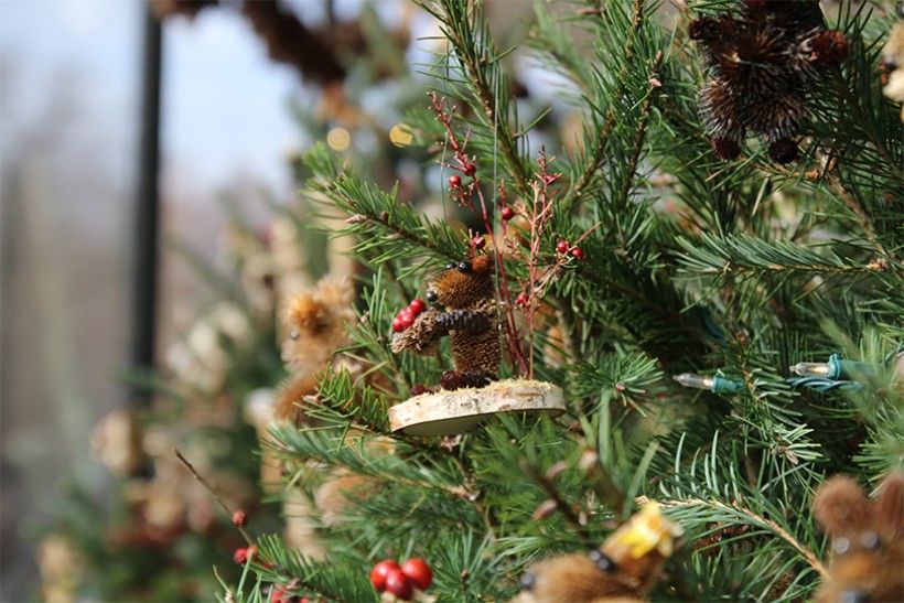 Trees covered in Critter ornaments made by our volunteers at the Brandywine River Museum of Art