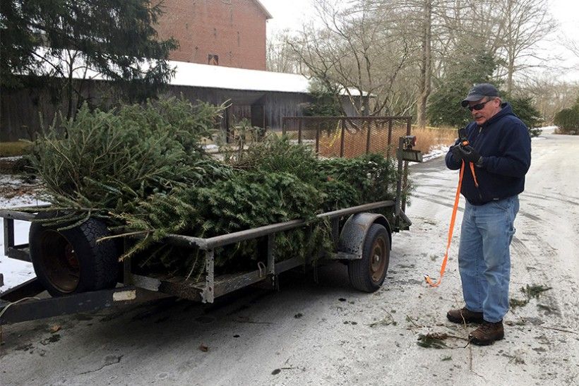 David Montgomery, Research Technician and Research Watershed Technician, Stroud Water Research Center, loading the trees at the Brandywine Conservancy &amp; Museum of Art
