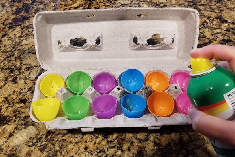 birdseed eggs