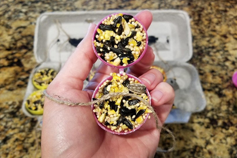 birdseed eggs