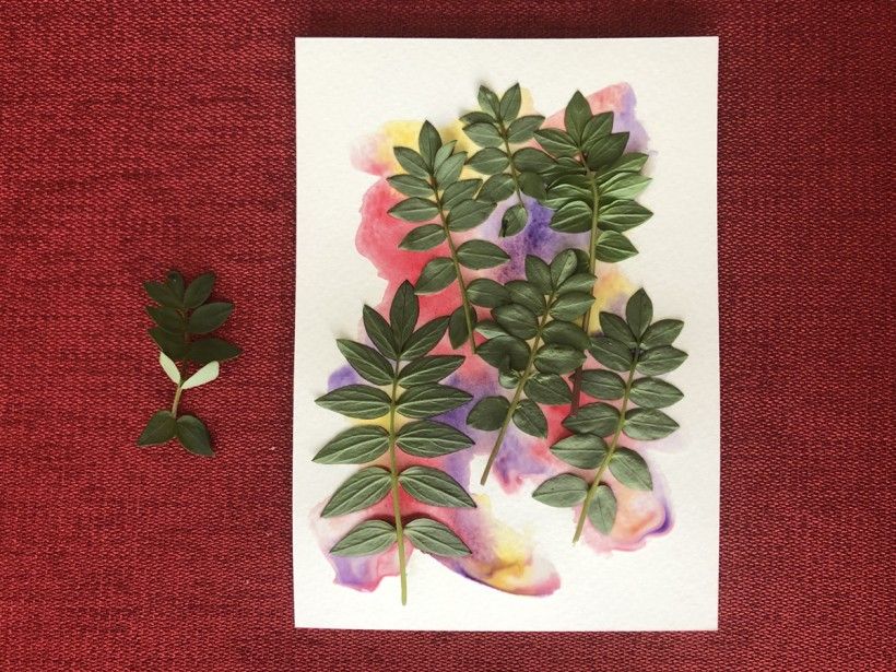 plants on watercolor paper