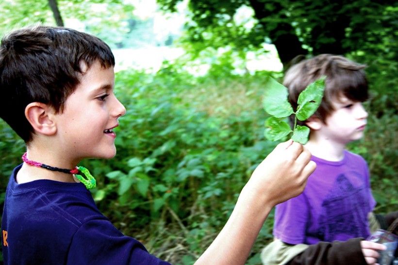 boy with leaf