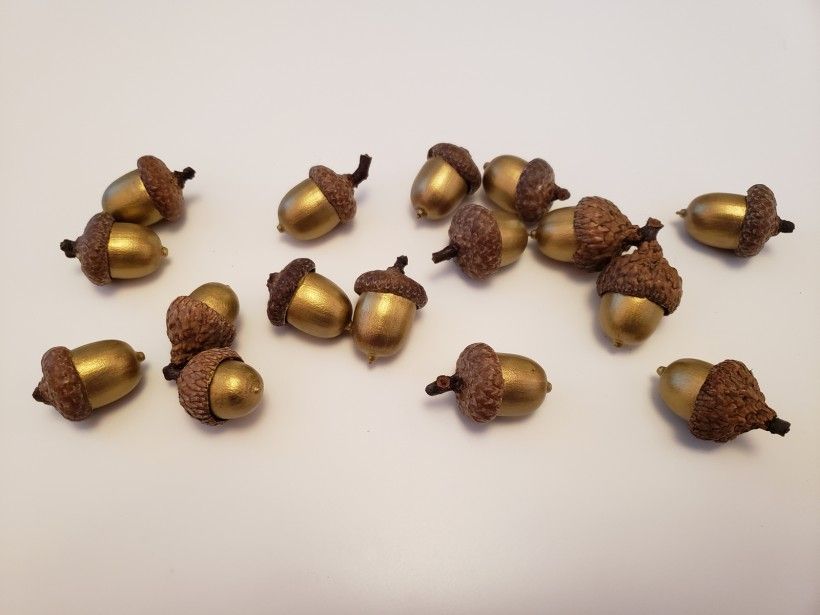 gold painted acorns