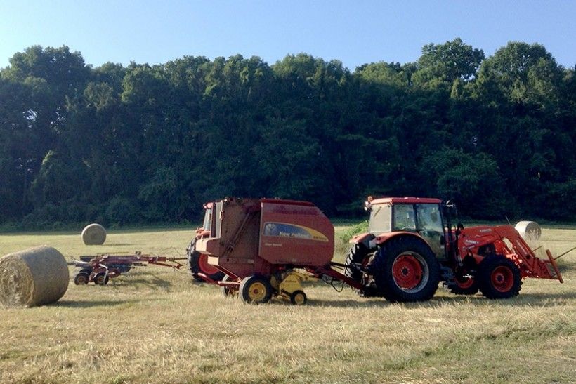 Haying at the Kuerner Farm, July 2016