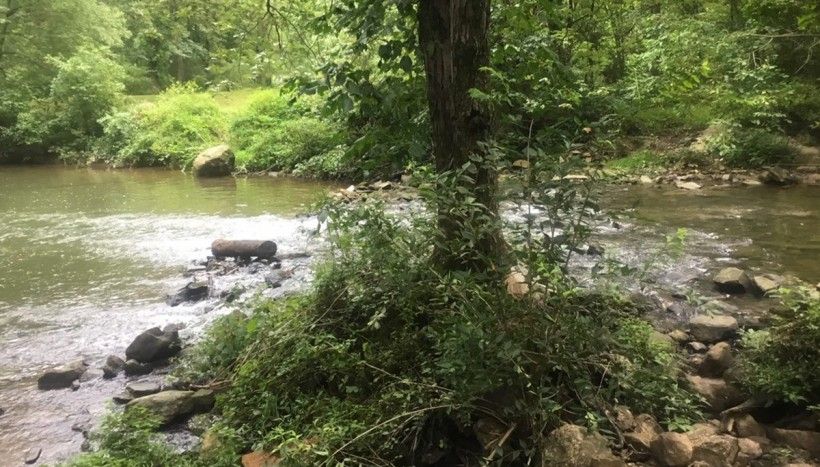 stream with rocks and trees