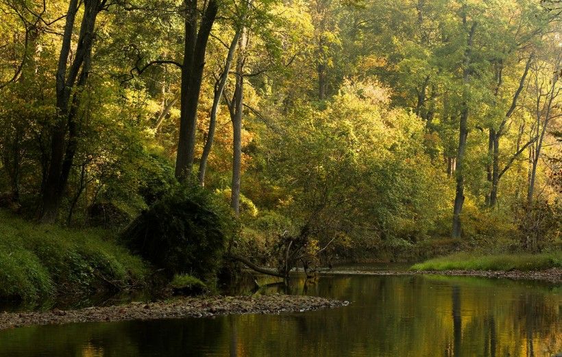 Photo by Chuck Bowers King Ranch/Laurels Preserve