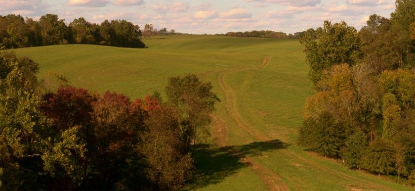 landscape in fall