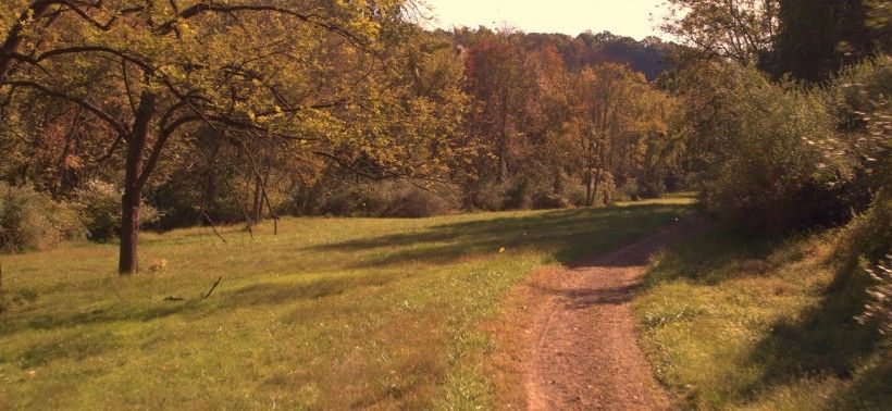 landscape in fall