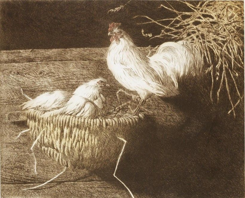 Jamie Wyeth (b. 1946), White Leghorns, 1981, three color etching, 26 1/2 × 30 1/4 in. © Jamie Wyeth/Artists Rights Society (ARS), New York