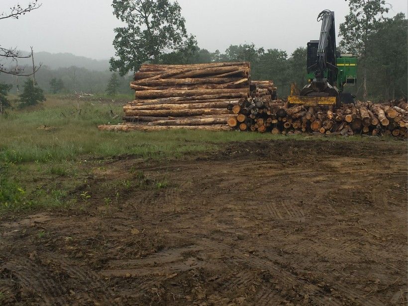 Logging at Nottingham County Park. Photo by Kelly Ford.