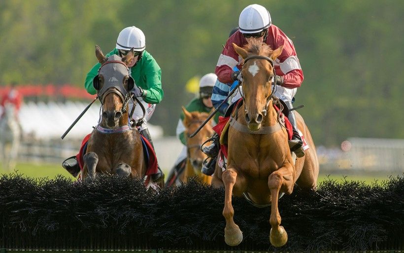 The Apprentice Jockey: Trodmore Hunt Races